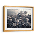 Campo de Rosas B - DeLaVegaGaming | Cuadro decorativo de Canvas Lab