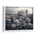 Campo de Rosas B - DeLaVegaGaming | Cuadro decorativo de Canvas Lab