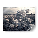 Campo de Rosas B - DeLaVegaGaming | Cuadro decorativo de Canvas Lab