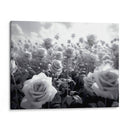 Campo de Rosas B V - DeLaVegaGaming | Cuadro decorativo de Canvas Lab