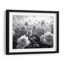 Campo de Rosas B V - DeLaVegaGaming | Cuadro decorativo de Canvas Lab