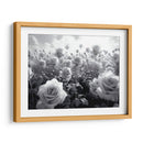 Campo de Rosas B V - DeLaVegaGaming | Cuadro decorativo de Canvas Lab