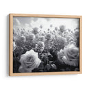 Campo de Rosas B V - DeLaVegaGaming | Cuadro decorativo de Canvas Lab