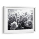 Campo de Rosas B V - DeLaVegaGaming | Cuadro decorativo de Canvas Lab