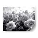 Campo de Rosas B V - DeLaVegaGaming | Cuadro decorativo de Canvas Lab