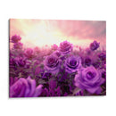Campo de Rosas Moradas - DeLaVegaGaming | Cuadro decorativo de Canvas Lab