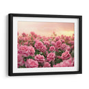 Campo de Rosas Rosas - 2 - DeLaVegaGaming | Cuadro decorativo de Canvas Lab