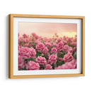 Campo de Rosas Rosas - 2 - DeLaVegaGaming | Cuadro decorativo de Canvas Lab