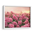 Campo de Rosas Rosas - 2 - DeLaVegaGaming | Cuadro decorativo de Canvas Lab