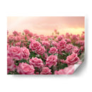 Campo de Rosas Rosas - 2 - DeLaVegaGaming | Cuadro decorativo de Canvas Lab