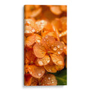 Hydrangea Anaranjada - DeLaVegaGaming | Cuadro decorativo de Canvas Lab