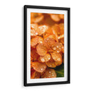 Hydrangea Anaranjada - DeLaVegaGaming | Cuadro decorativo de Canvas Lab