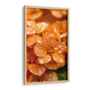 Hydrangea Anaranjada - DeLaVegaGaming | Cuadro decorativo de Canvas Lab