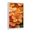 Hydrangea Anaranjada - DeLaVegaGaming | Cuadro decorativo de Canvas Lab