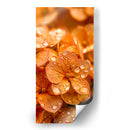 Hydrangea Anaranjada - DeLaVegaGaming | Cuadro decorativo de Canvas Lab