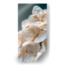 Hydrangea Beige - DeLaVegaGaming | Cuadro decorativo de Canvas Lab