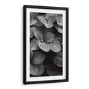 Hydrangea Blanco y Negro - DeLaVegaGaming | Cuadro decorativo de Canvas Lab