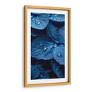 Hydrangea Indigo - 1 - DeLaVegaGaming | Cuadro decorativo de Canvas Lab
