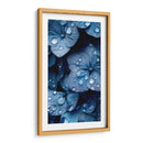 Hydrangea Indigo - 2 - DeLaVegaGaming | Cuadro decorativo de Canvas Lab