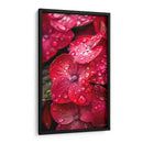 Hydrangea Roja - DeLaVegaGaming | Cuadro decorativo de Canvas Lab