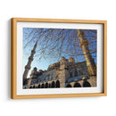 Ramas en invierno - Anivpaz | Cuadro decorativo de Canvas Lab