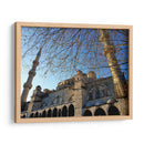 Ramas en invierno - Anivpaz | Cuadro decorativo de Canvas Lab