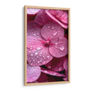 Hydrangea Rosa - DeLaVegaGaming | Cuadro decorativo de Canvas Lab