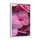Hydrangea Rosa - DeLaVegaGaming | Cuadro decorativo de Canvas Lab
