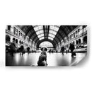 Perro observador - Paltik Arte Digital | Cuadro decorativo de Canvas Lab