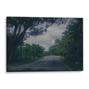 Camino  - Wara-Wara | Cuadro decorativo de Canvas Lab