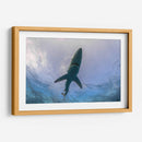 Tiburon Azul en la superficie - Dominic Underwater | Cuadro decorativo de Canvas Lab