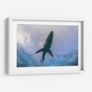 Tiburon Azul en la superficie - Dominic Underwater | Cuadro decorativo de Canvas Lab