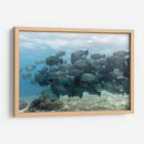 Escuela de peces loros jorobados verdes - Dominic Underwater | Cuadro decorativo de Canvas Lab