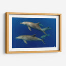 Familia de delfines nariz de botella - Dominic Underwater | Cuadro decorativo de Canvas Lab