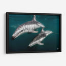 Delfines oscuros - Dominic Underwater | Cuadro decorativo de Canvas Lab