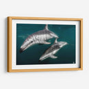 Delfines oscuros - Dominic Underwater | Cuadro decorativo de Canvas Lab