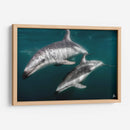 Delfines oscuros - Dominic Underwater | Cuadro decorativo de Canvas Lab