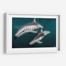 Delfines oscuros - Dominic Underwater | Cuadro decorativo de Canvas Lab