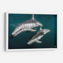 Delfines oscuros - Dominic Underwater | Cuadro decorativo de Canvas Lab