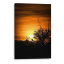 Atardecer entre arboles - Lalo Martínez | Cuadro decorativo de Canvas Lab
