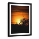 Atardecer entre arboles - Lalo Martínez | Cuadro decorativo de Canvas Lab