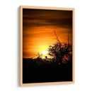 Atardecer entre arboles - Lalo Martínez | Cuadro decorativo de Canvas Lab