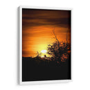 Atardecer entre arboles - Lalo Martínez | Cuadro decorativo de Canvas Lab