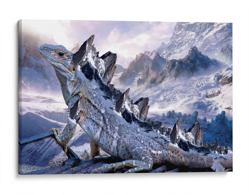 Dragon Mountain - El Warlock | Cuadro decorativo de Canvas Lab