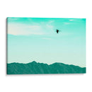 Vuelo turquesa - FErB | Cuadro decorativo de Canvas Lab