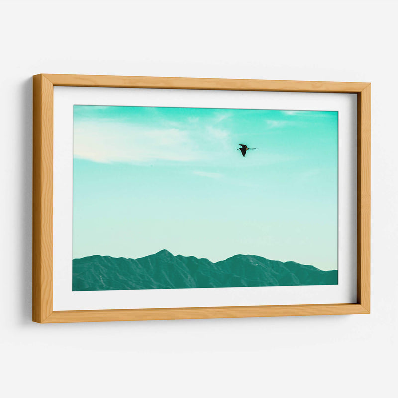 Vuelo turquesa - FErB | Cuadro decorativo de Canvas Lab