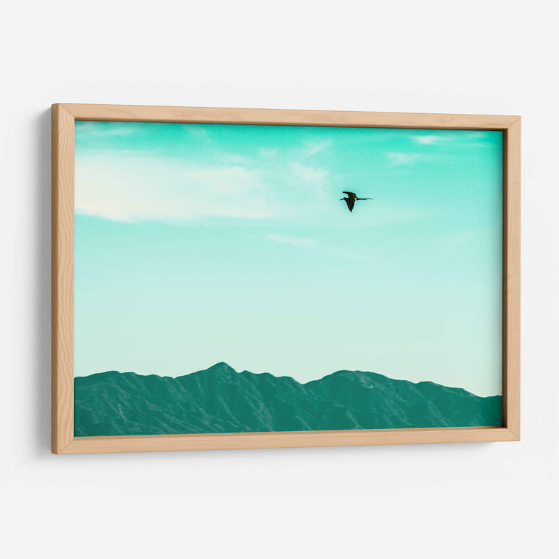 Vuelo turquesa - FErB | Cuadro decorativo de Canvas Lab