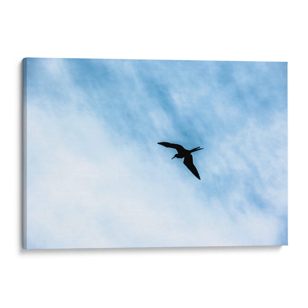 Contrastes en el cielo - FErB | Cuadro decorativo de Canvas Lab