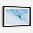 Contrastes en el cielo - FErB | Cuadro decorativo de Canvas Lab