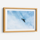 Contrastes en el cielo - FErB | Cuadro decorativo de Canvas Lab